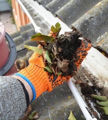 Gutter Cleaning