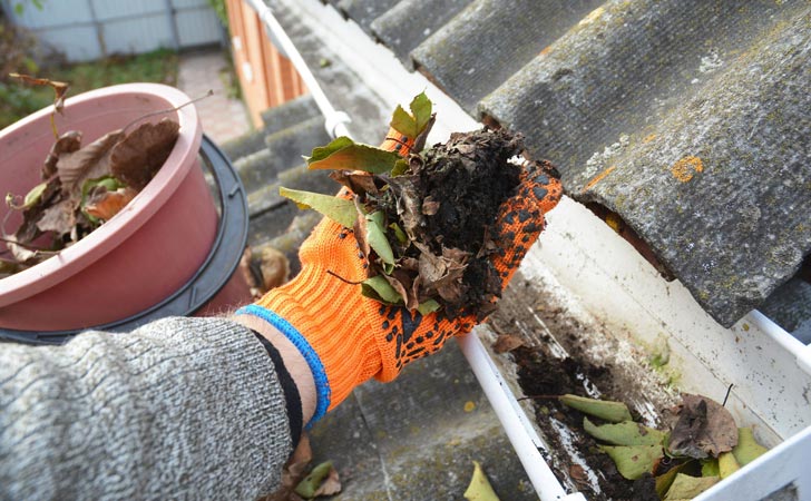 Gutter Cleaning