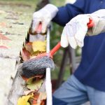 Gutter Cleaning