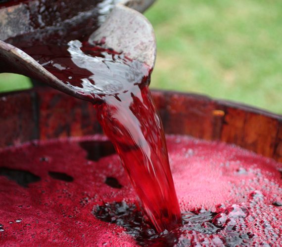 Malbec