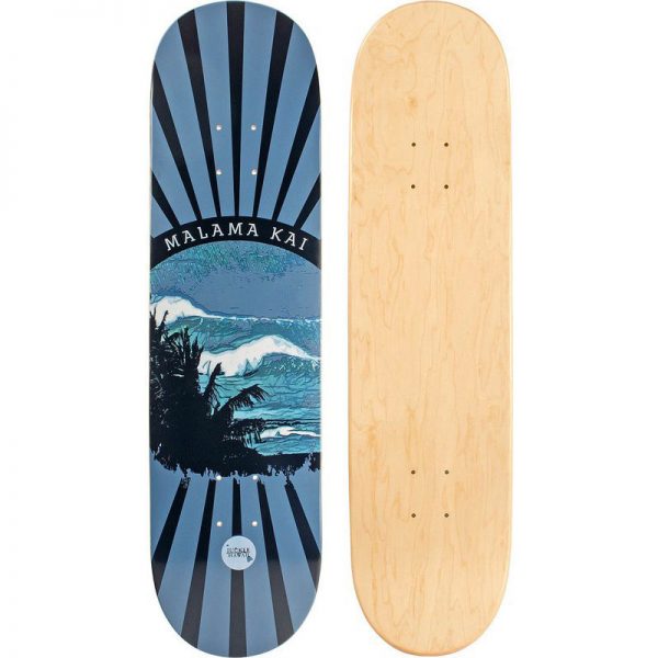Palm Beach Skateboard