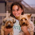 How to handle Domestic pets.