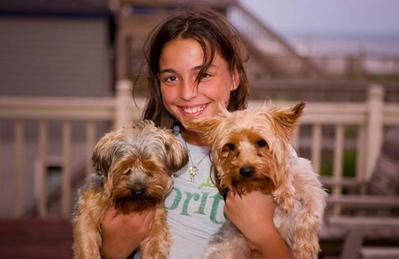 How to handle Domestic pets.