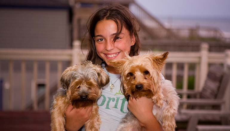 How to handle Domestic pets.
