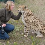 How to click Wild Photo.