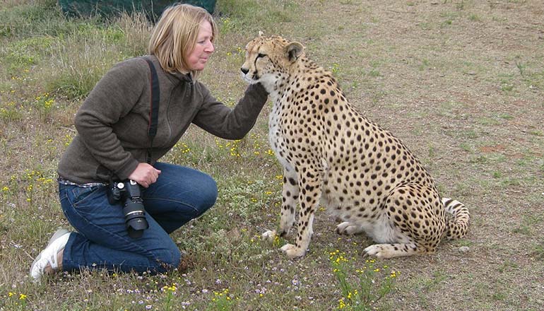 How to click Wild Photo.