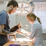Medical Treatment