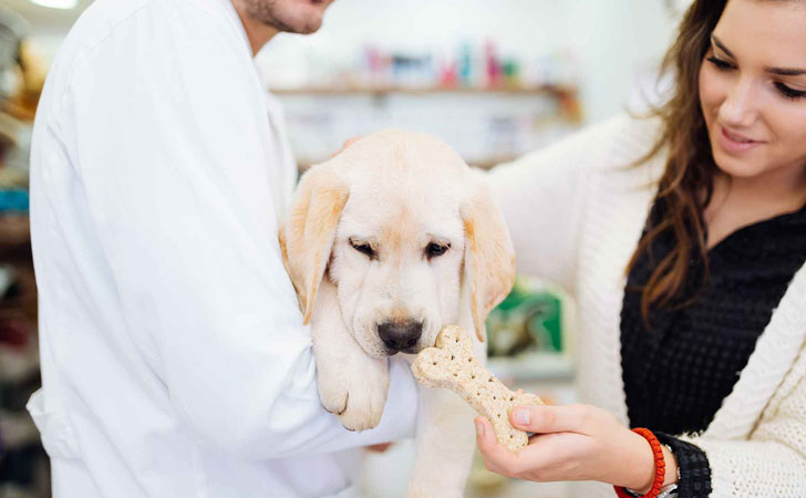 Healthy food for pets
