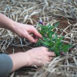 How to find best garden and lawn tools?