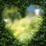 2019 Tips – Gardens and Forests
