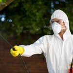 Anti Pesto Bug Killers
