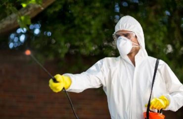 Anti Pesto Bug Killers
