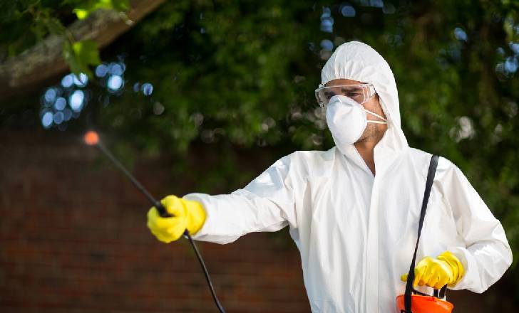 Anti Pesto Bug Killers