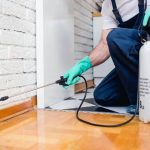 Accurate Pest Control