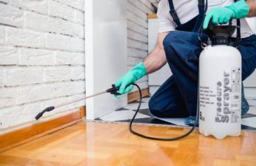 Accurate Pest Control