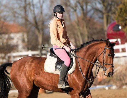 EQUINE CHALLENGE