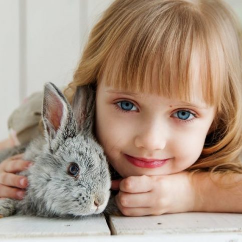 Animals Care Skills