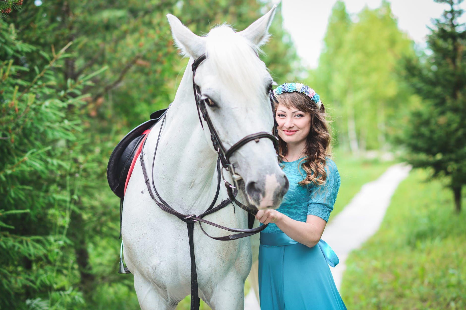 Horse Care Skills