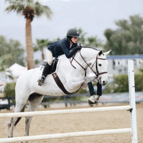 Horse Care