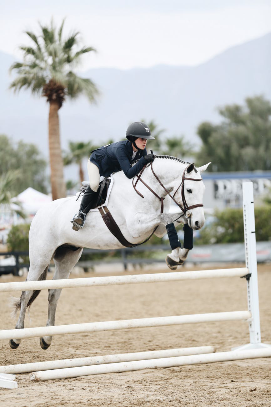 Horse Care