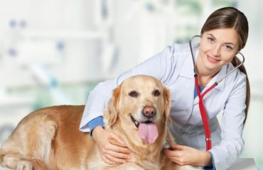 Care advice