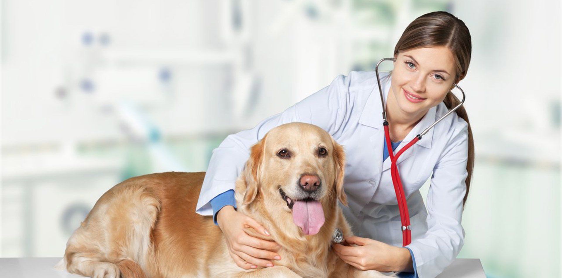 Care advice
