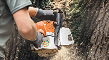 tree-services11