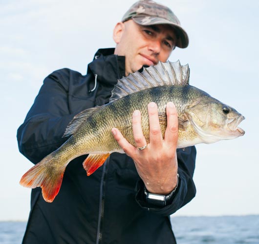 About Fishery