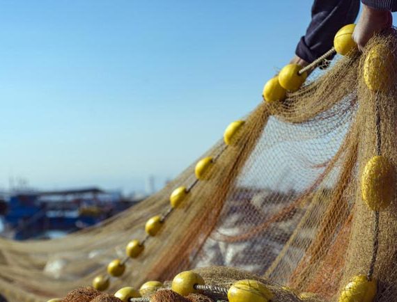 Protective Nets for Fishing