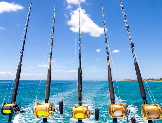 Fishing Hook