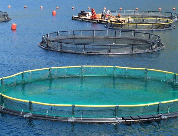 Water Coverage For Fishing