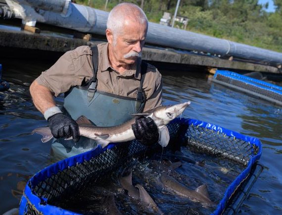 The Fisher Man