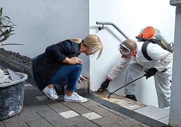 Office Renovations