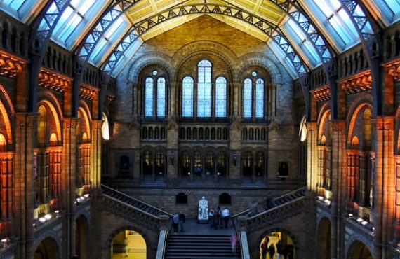 Beautiful Museum