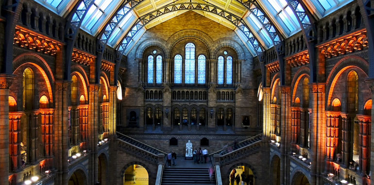 Beautiful Museum