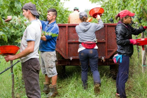 Farm labor and related