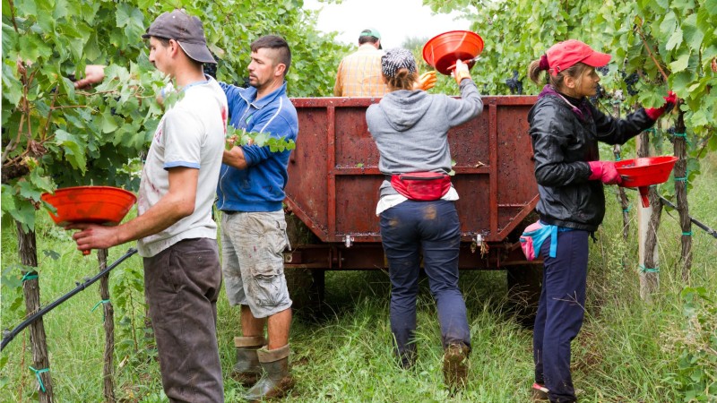 Farm labor and related