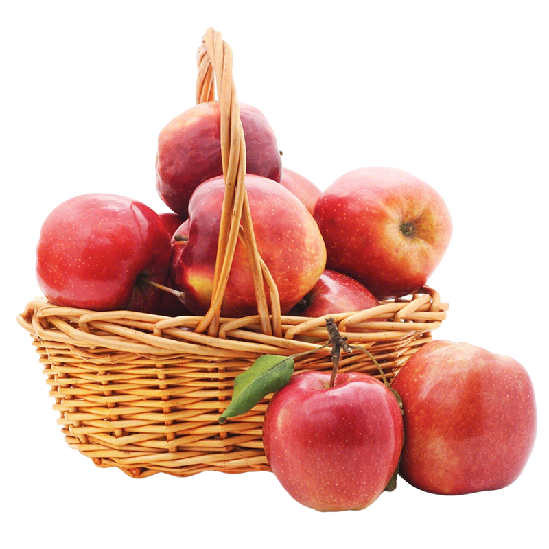 organic-about-img