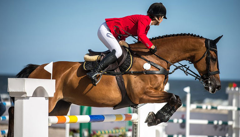 Maxime placeat facere possimus omnis voluptas