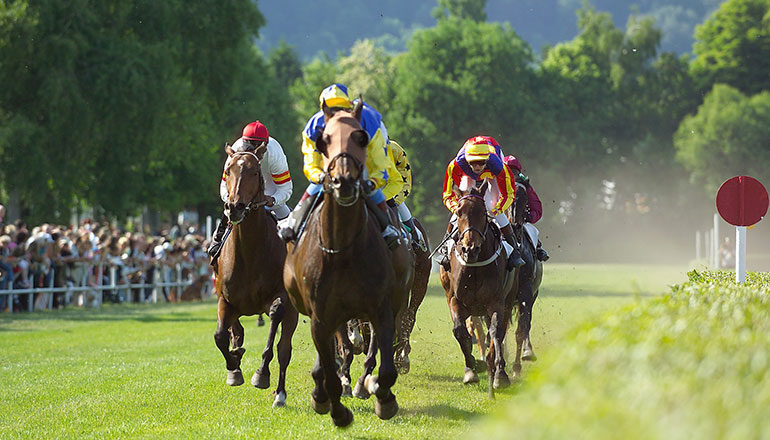 Et harum quidem rerum facilis est expedita