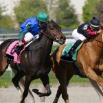 Nihil impedit quo minus id quod maxime placeat