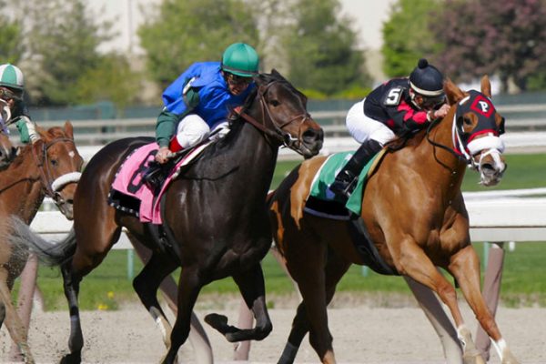 Nihil impedit quo minus id quod maxime placeat