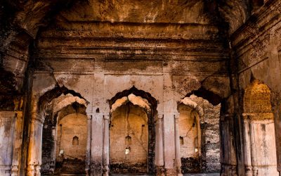 In ut leo blandit, tempor elit in, vulputate enim.