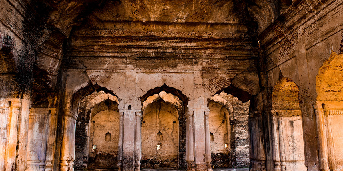 In ut leo blandit, tempor elit in, vulputate enim.