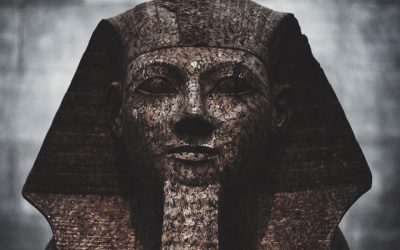 Donec a mi nec neque condimentum dictum.