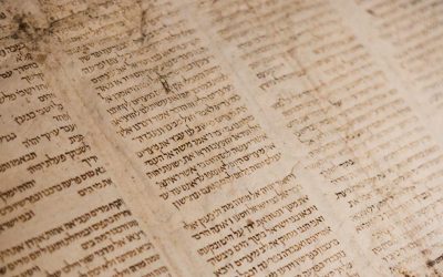 Mauris sagittis diam vel augue eleifend semper.