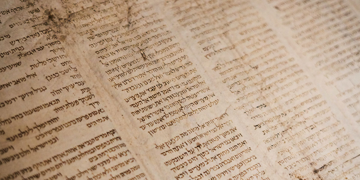 Mauris sagittis diam vel augue eleifend semper.