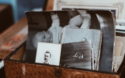 Nunc iaculis nibh sed iaculis fringilla.