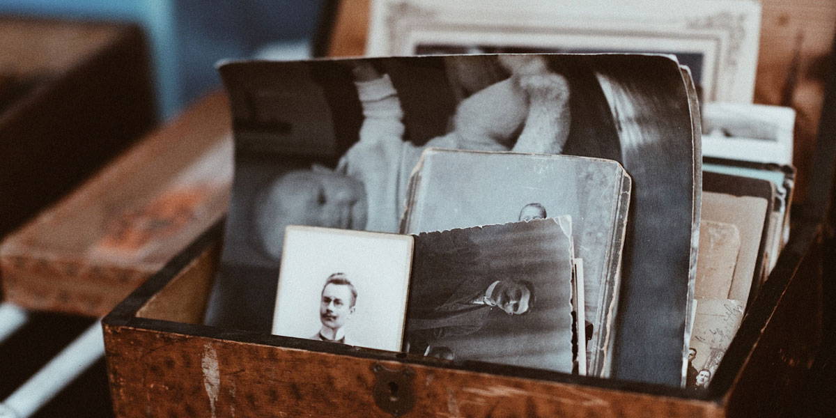 Nunc iaculis nibh sed iaculis fringilla.