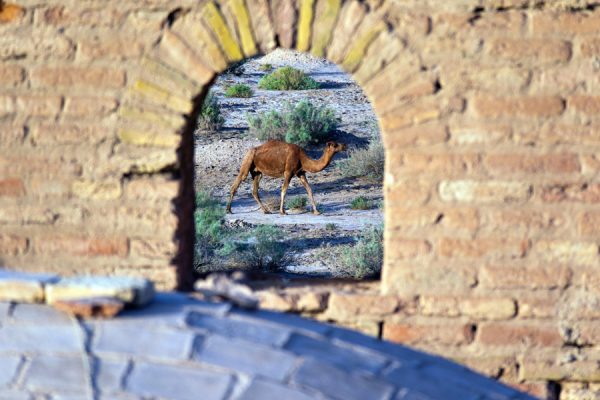 Nam placerat mi non velit interdum luctus.